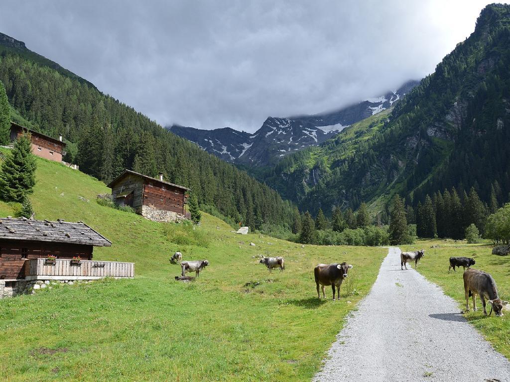Landhaus Appartement Kofler Ferienwohnungen,Zimmer Maurach  Exteriör bild